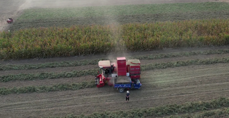 三年買兩臺(tái)中聯(lián)收獲花生機(jī) 收獲花生的得力助手 1712500977530075.png